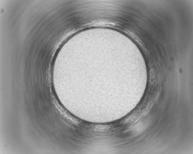 X0000054470848200508191726