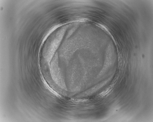 X0000054470851200508191726