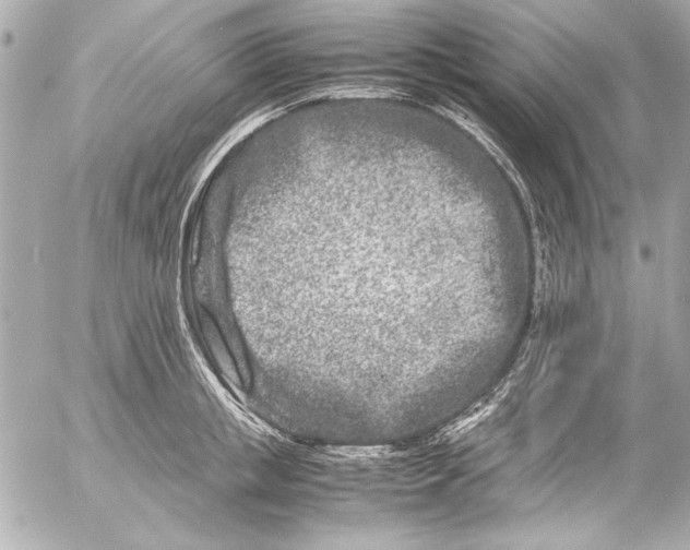 X0000054470853200508191726