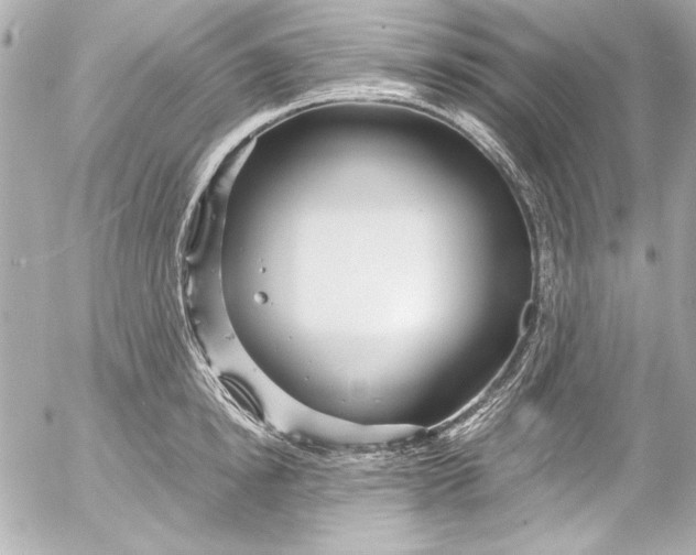 X0000054470854200508191726