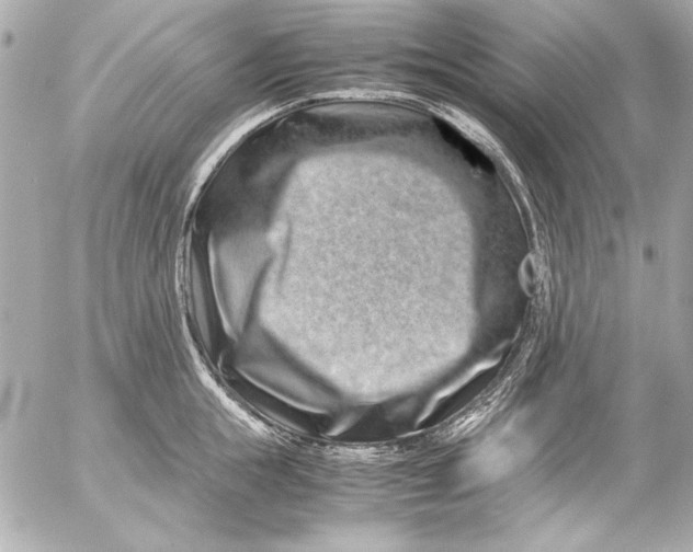 X0000054470855200508191726