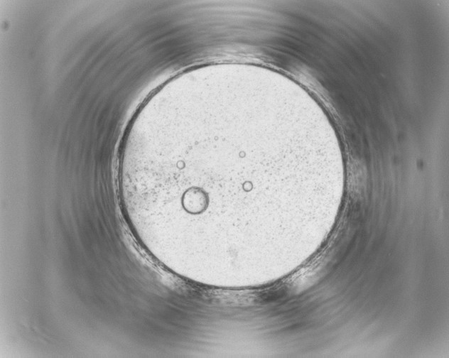 X0000054470856200508191726