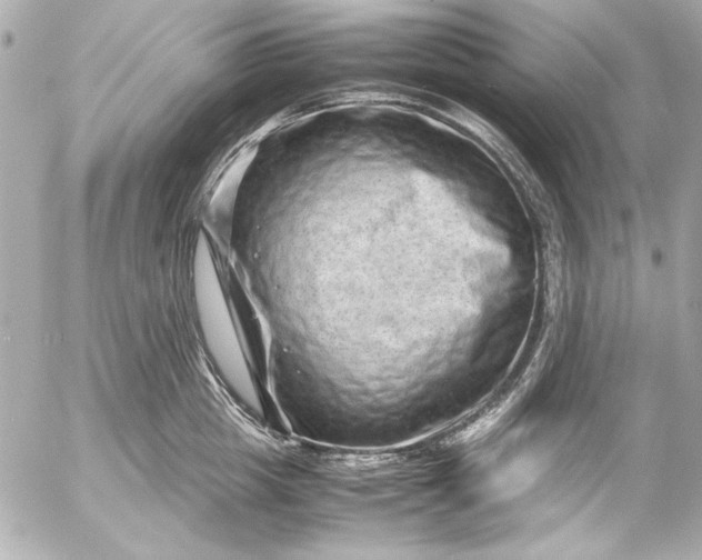 X0000054470857200508191726