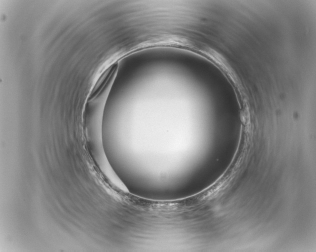 X0000054470858200508191726