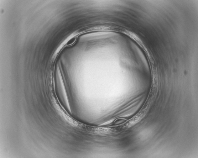 X0000054470859200508191726