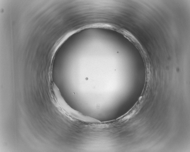 X0000054470860200508191726