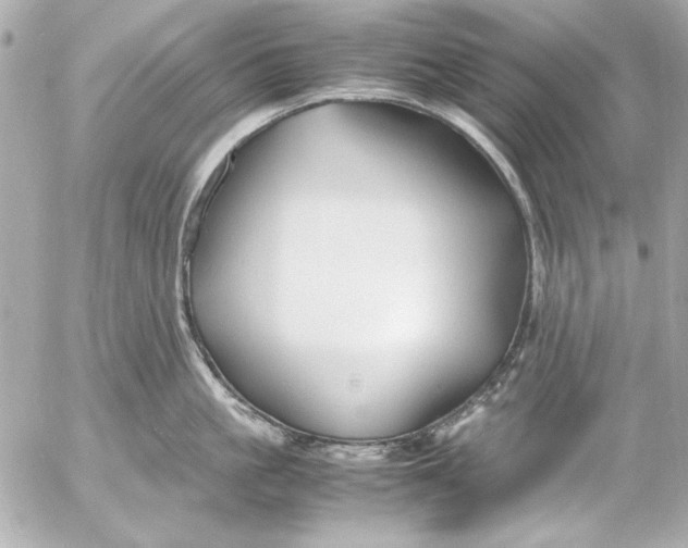 X0000054470861200508191726