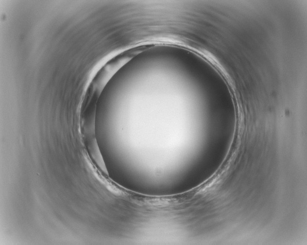 X0000054470862200508191726