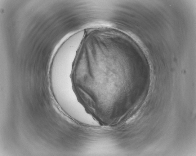 X0000054470864200508191726