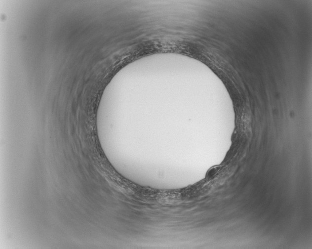 X0000054470865200508191725