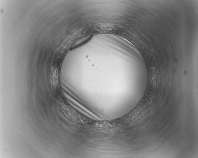 X0000054470866200508191725