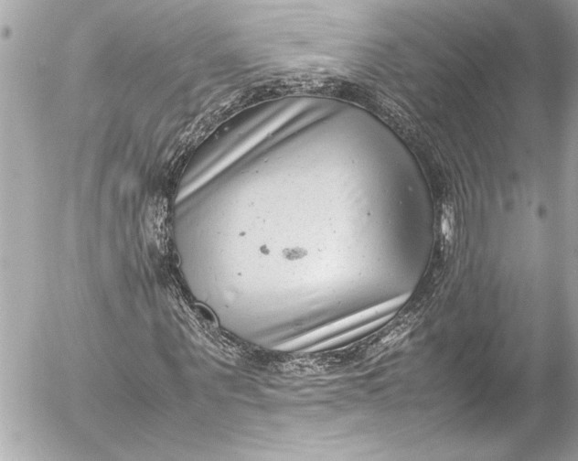 X0000054470867200508191725