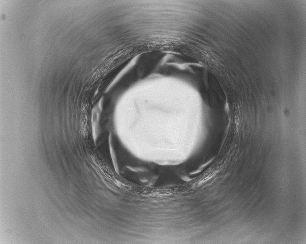 X0000054470868200508191725