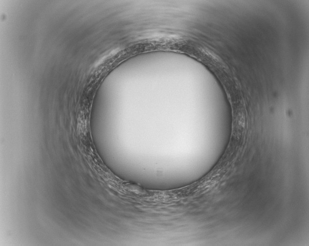 X0000054470869200508191725