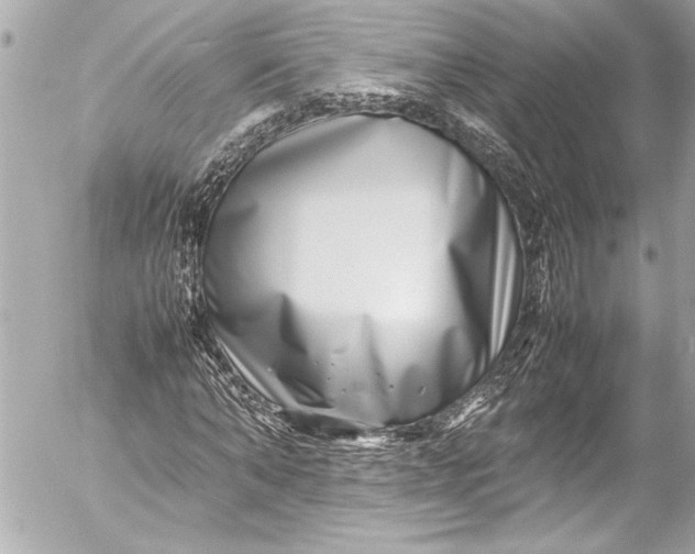 X0000054470870200508191725