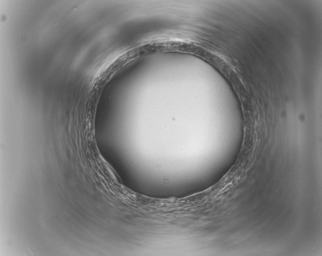 X0000054470871200508191725