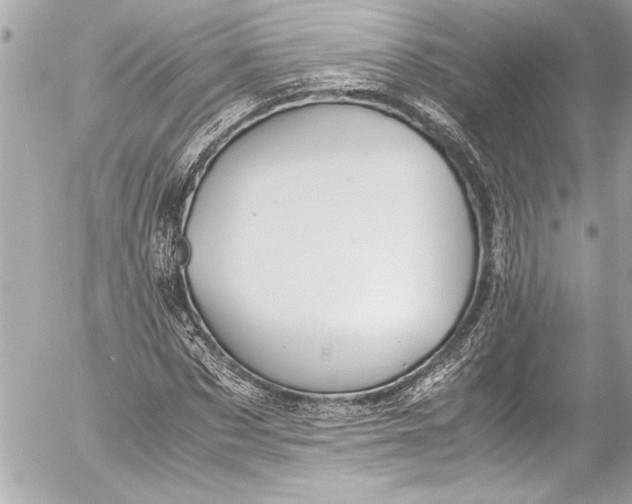 X0000054470873200508191725