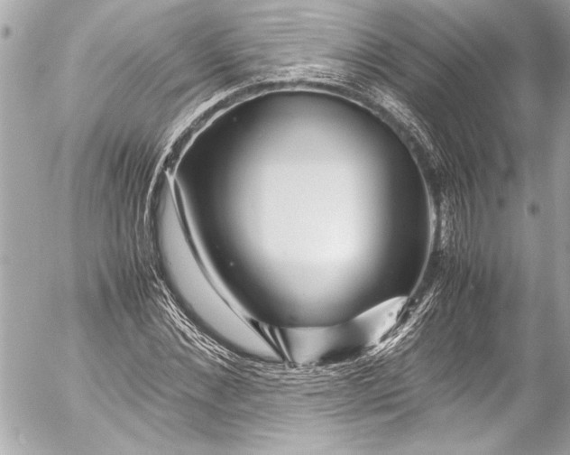 X0000054470876200508191725