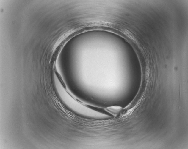 X0000054470877200508191725