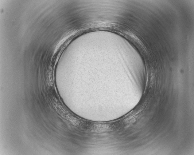 X0000054470878200508191725