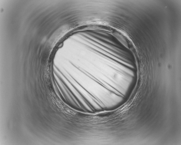 X0000054470879200508191725