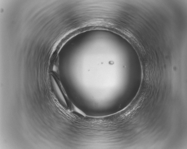 X0000054470880200508191725