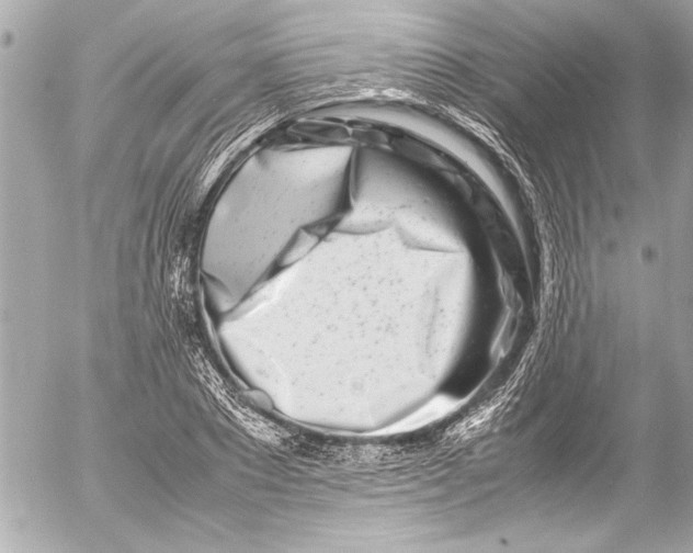 X0000054470881200508191725