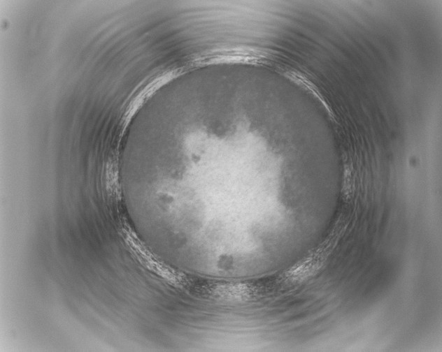 X0000054470882200508191725