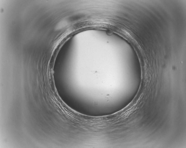 X0000054470883200508191725