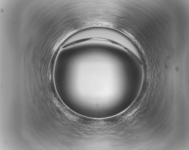 X0000054470885200508191725