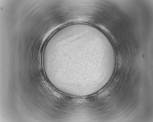 X0000054470886200508191725