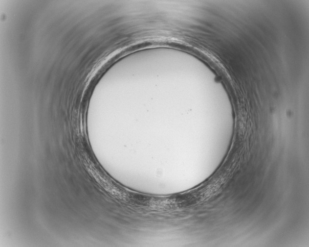 X0000054470887200508191725