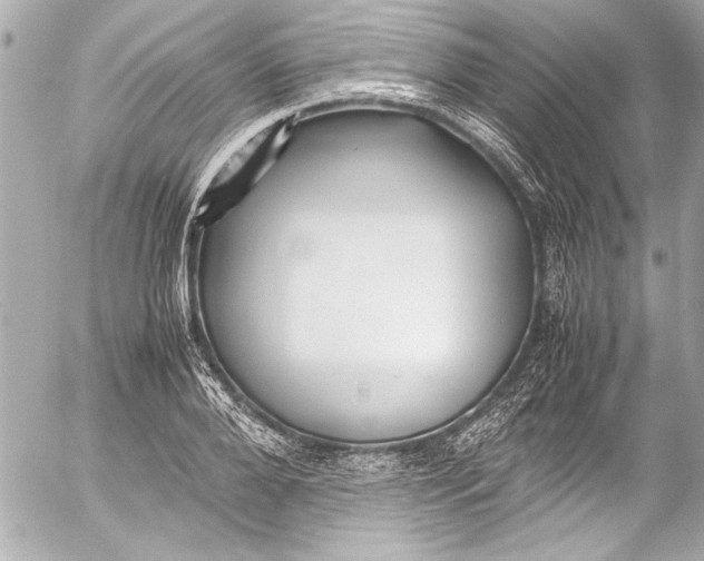 X0000054470888200508191725