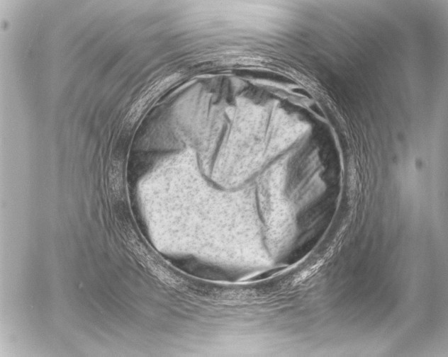 X0000054470889200508191725