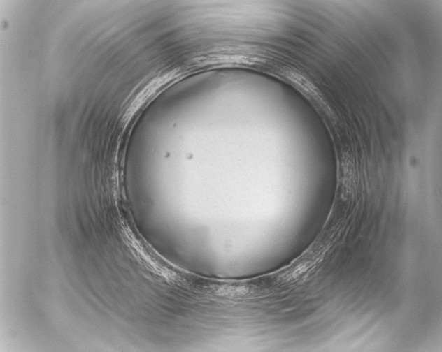 X0000054470890200508191725