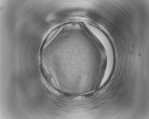 X0000054470891200508191725