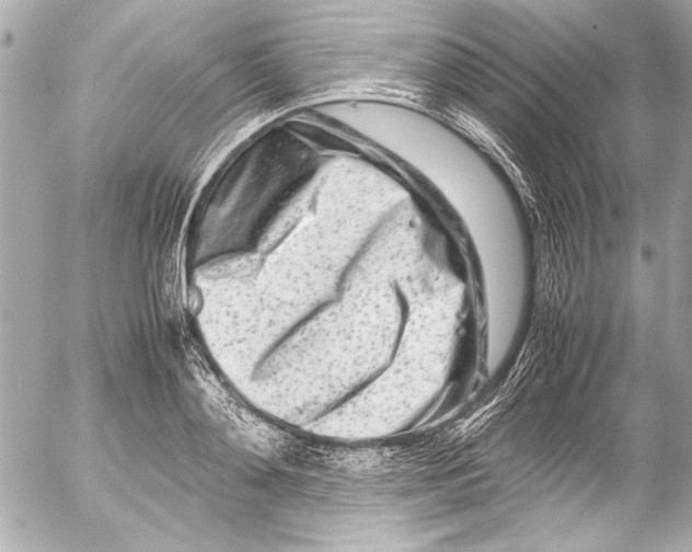 X0000054470892200508191725