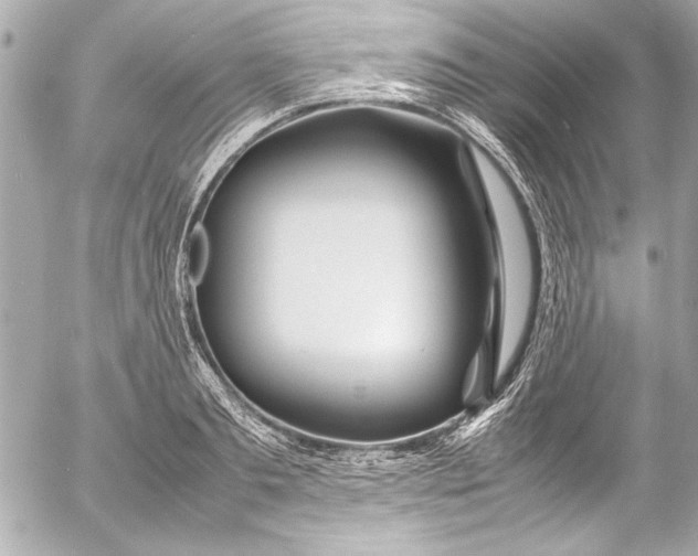 X0000054470893200508191725