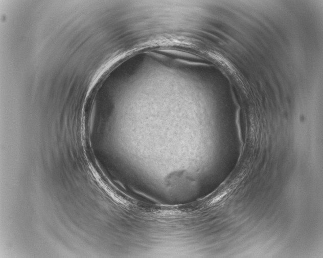 X0000054470894200508191725