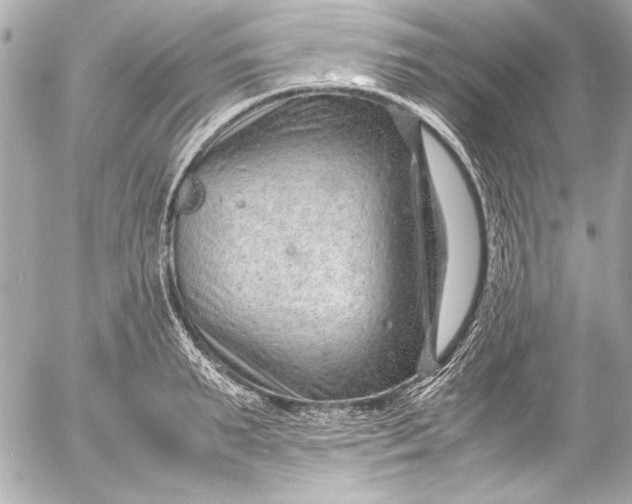 X0000054470895200508191725