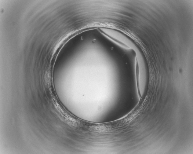 X0000054470896200508191725