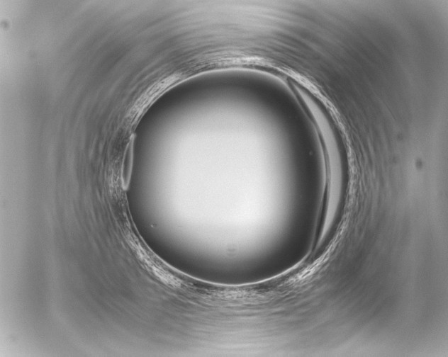 X0000054470897200508191725