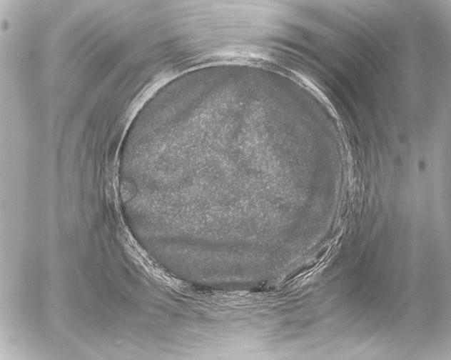 X0000054470899200508191725