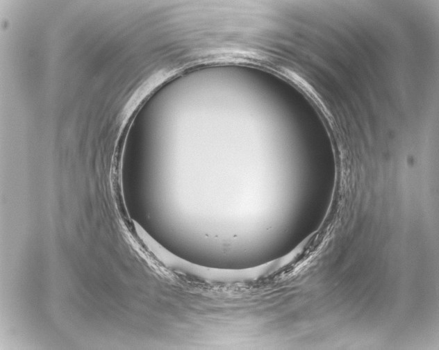 X0000054470901200508191725