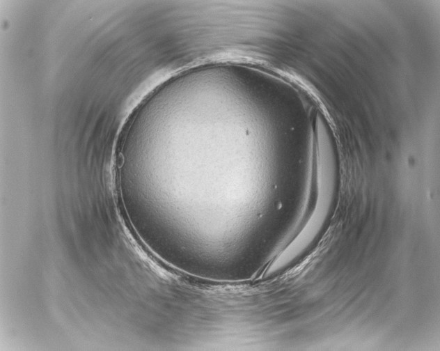 X0000054470902200508191725