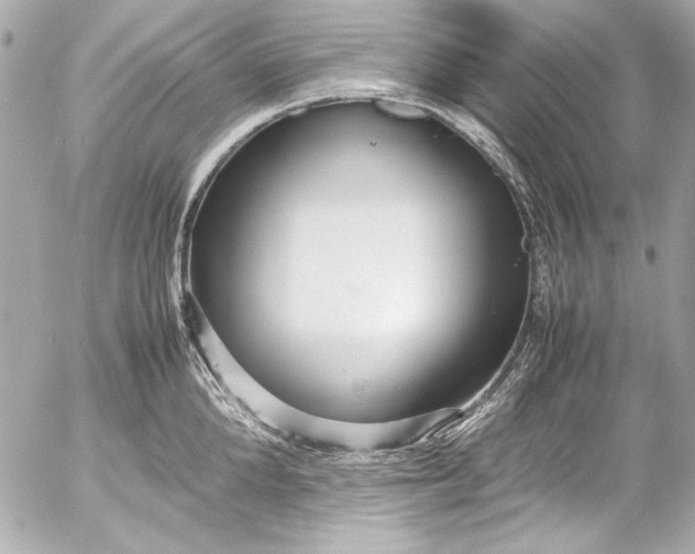 X0000054470904200508191725