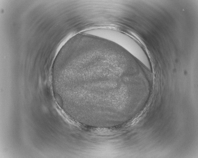 X0000054470907200508191725