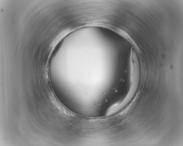 X0000054470908200508191725