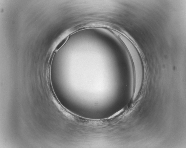 X0000054470909200508191725