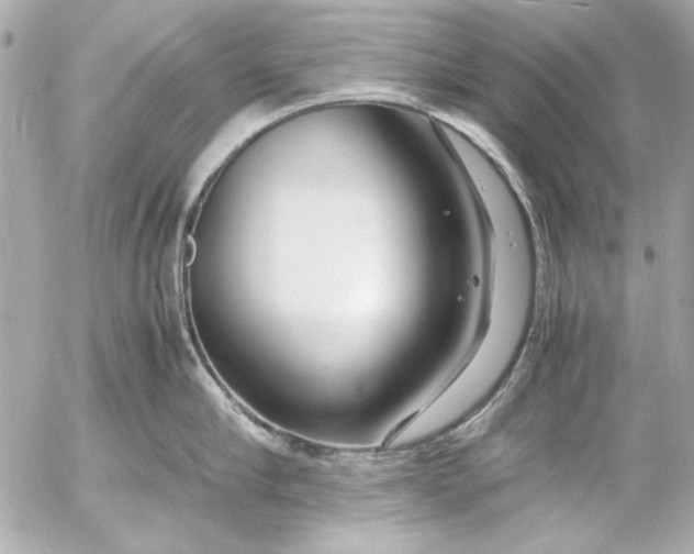 X0000054470910200508191725